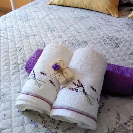 Ivetta Villa Veprinac